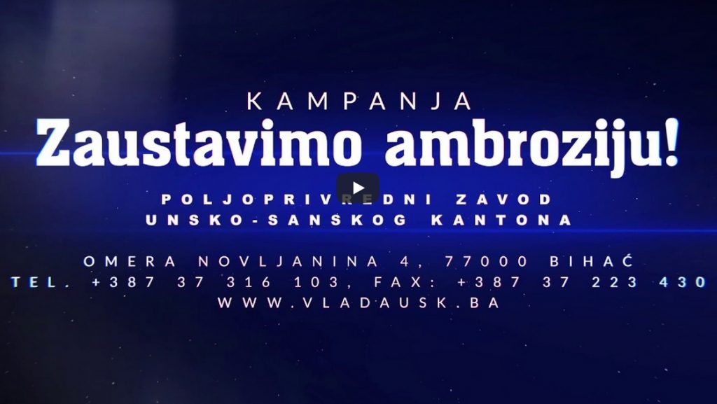 Promo video